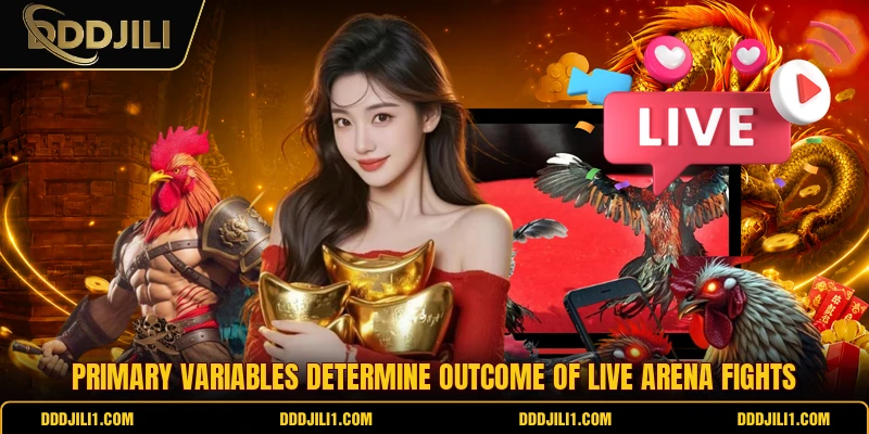 Primary variables determine outcome of live arena fights