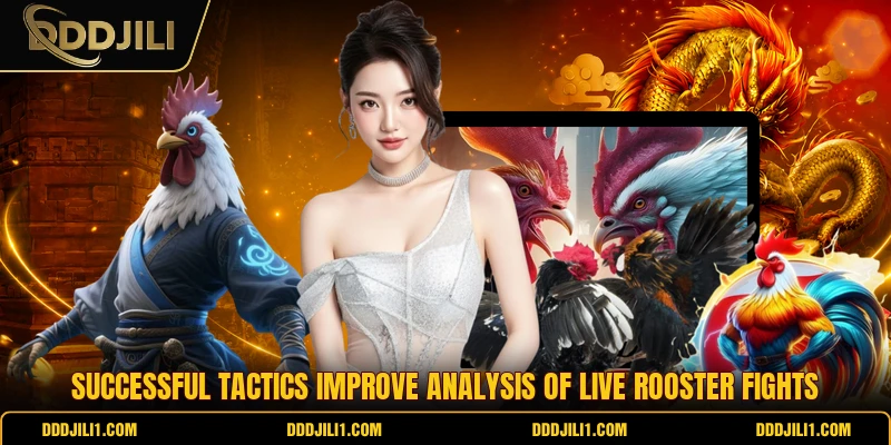 Successful tactics improve analysis of live rooster fights