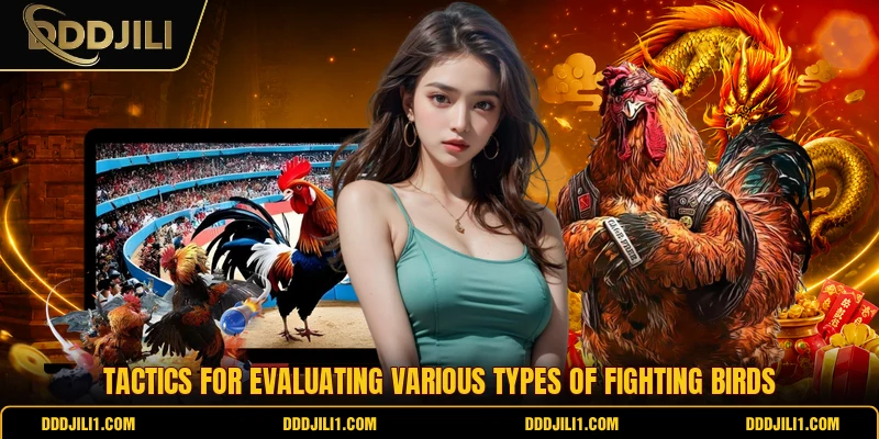 Tactics for evaluating various types of fighting birds