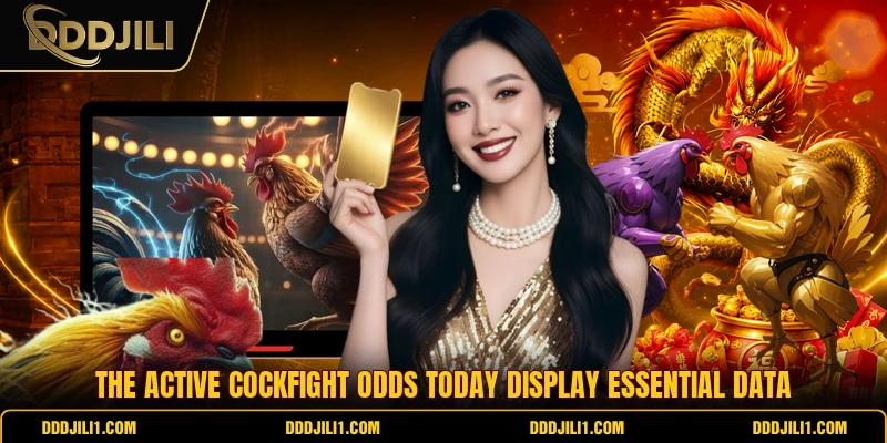 Cockfight Odds Today